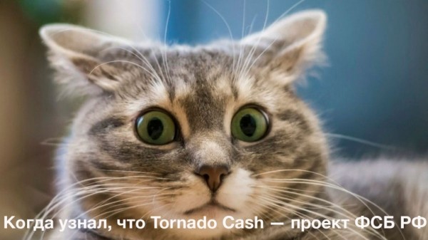 Дайджест крипторынка в мемах и картинках: биткоин на дне, Макафи жив, а разработчик Tornado Cash — агент Кремля
