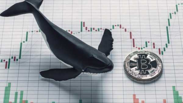 Glassnode: «Старые киты» не влияют на цену биткоина